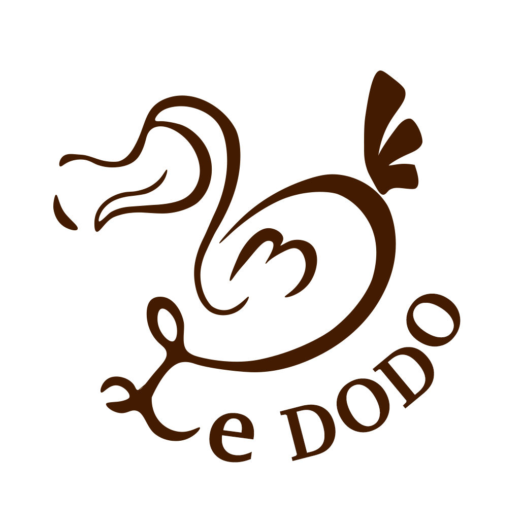 ledodo-logo.png